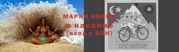 ПСИЛОЦИБИНОВЫЕ ГРИБЫ Пересвет