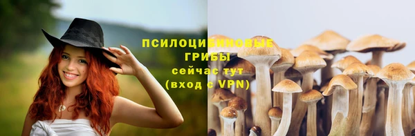 ПСИЛОЦИБИНОВЫЕ ГРИБЫ Пересвет