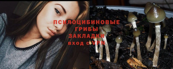 стаф Абдулино