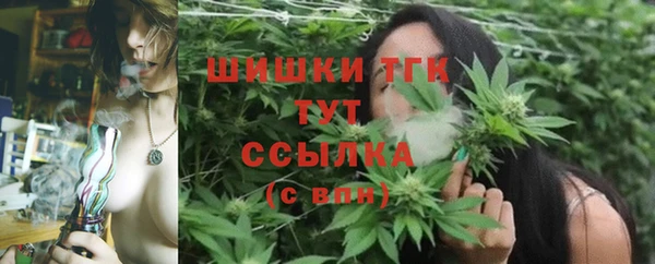 стаф Абдулино