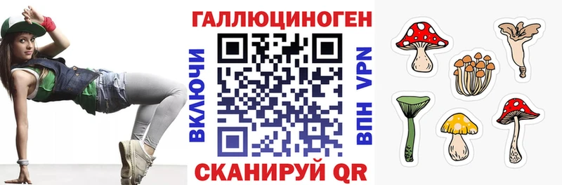дарнет шоп  Суоярви  Галлюциногенные грибы MAGIC MUSHROOMS 